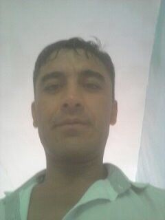  18330294  Assasin, 48 ,    