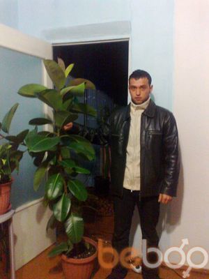  ,   Fikus, 37 ,  
