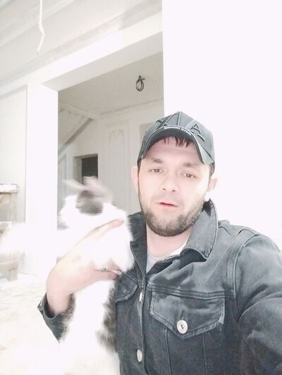  ,   , 37 ,   ,   