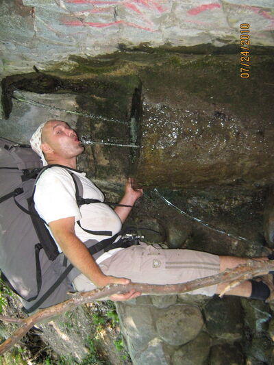  ,   Nestor, 56 ,   ,   , c , 