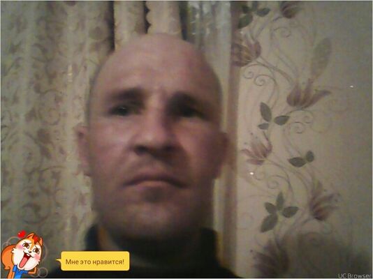  ,   , 46 ,   
