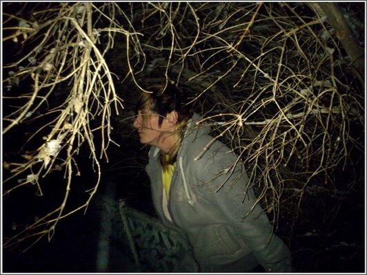  ,   Crazy Angel, 38 ,     , c 