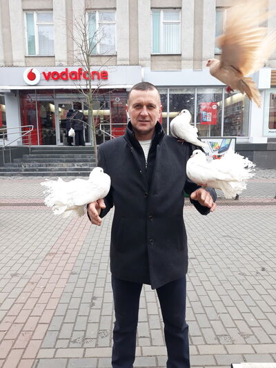  ,   Vitalik, 41 ,   , 