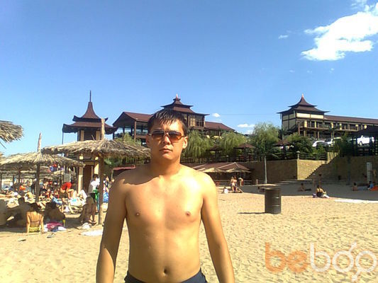  3295134  , 37 ,    -