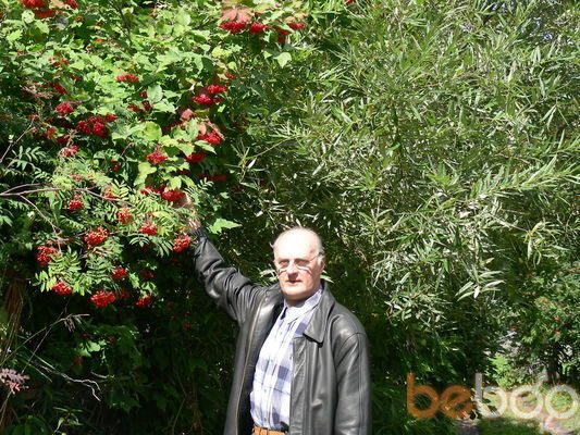  ,   , 80 ,  