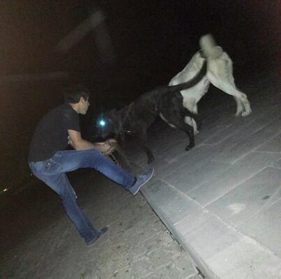  --,   Vahram, 31 ,   ,   , c 