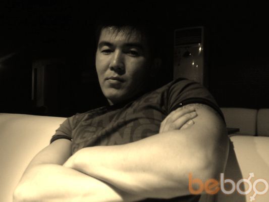  ,   Mafiya, 40 ,   ,   , c 