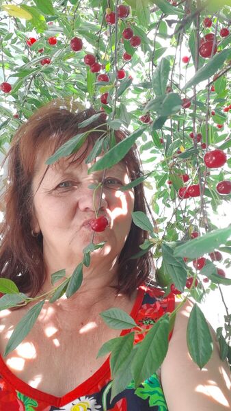  -,   , 63 ,   ,   , c 