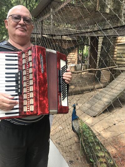   ,   , 66 ,   ,   