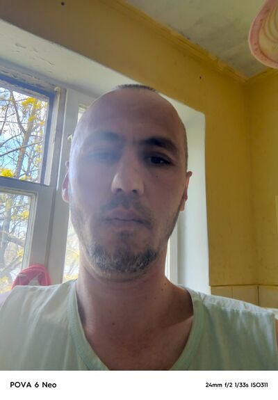  -,   , 44 ,   ,   