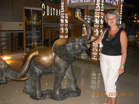  ,   , 72 ,   ,   , c 