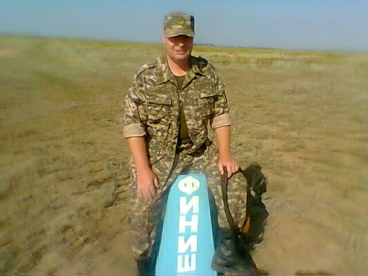  ,   Villi, 52 ,   