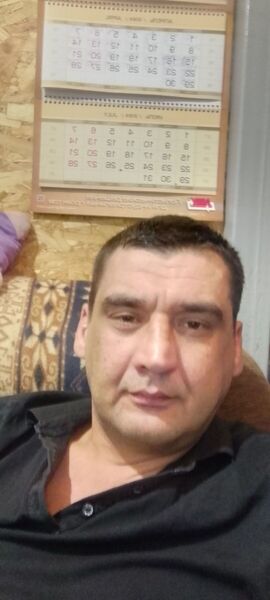  --,   , 41 ,  