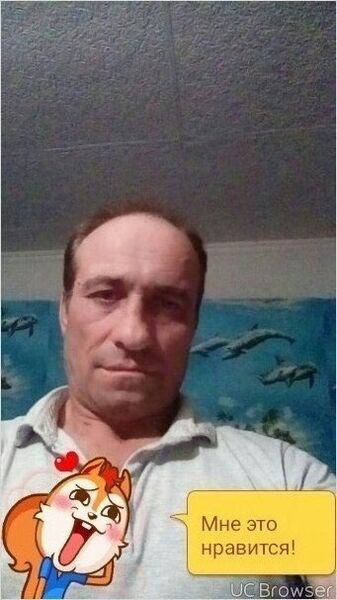  ,   , 51 ,  