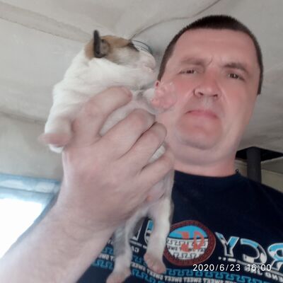  ,   , 48 ,  