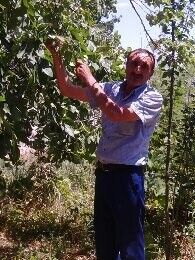  ,   Elcin, 58 ,   