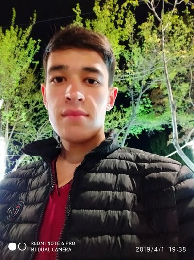  ,   Jahongir, 33 ,     , c 