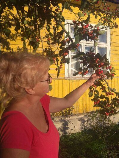  ,   , 63 ,   ,   , c 