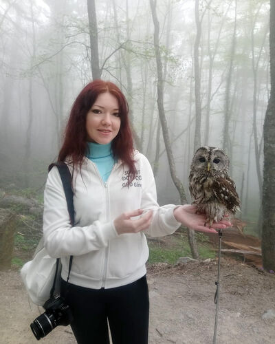  ,   , 31 ,   ,   , c , 