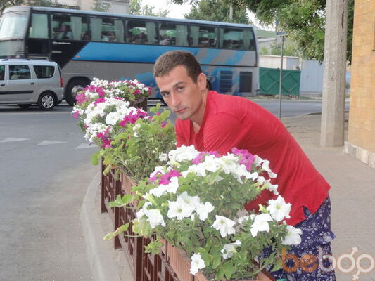 ,   Koka, 40 ,   ,   , c 