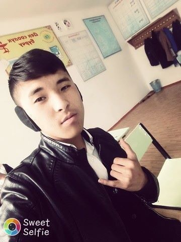  ,   Brain, 27 ,   