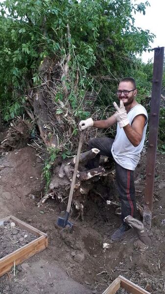  ,   Maxim, 37 ,   c 