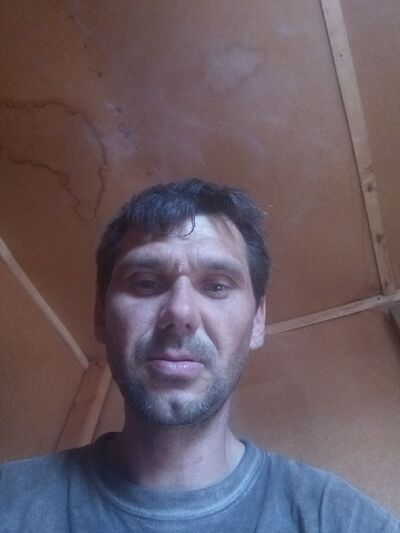  -,   , 44 ,   ,   