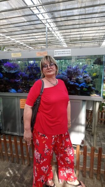  ,   , 55 ,     , c 