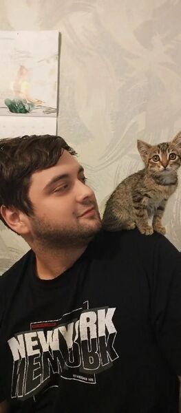  ,   , 28 ,   ,   , c 