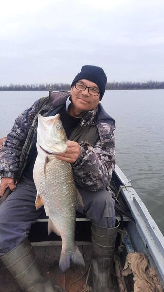  ,   , 58 ,   ,   , c , 