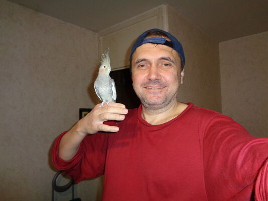  ,   , 52 ,   ,   , c 