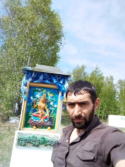  ,   Ara, 41 ,   ,   