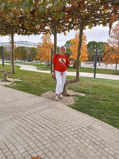  ,   , 55 ,   ,   
