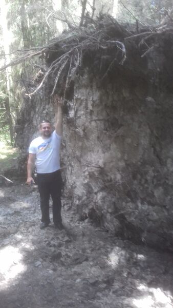  ,   Banderas, 39 ,   