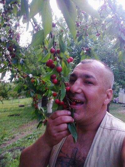  ,    , 56 ,  