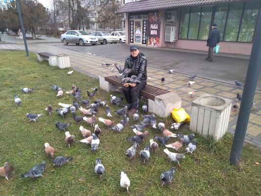  ,   , 70 ,  