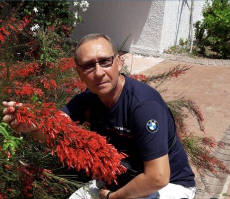  ,   , 53 ,   ,   