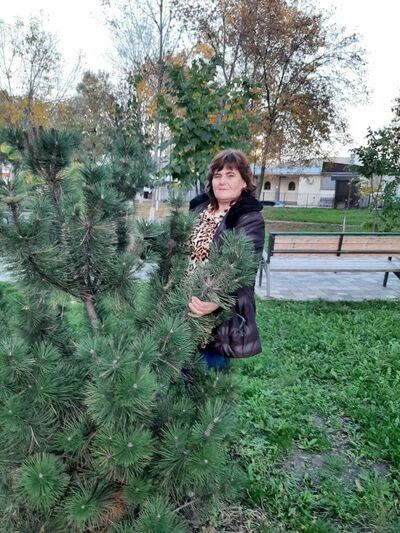  ,   , 53 ,   c 