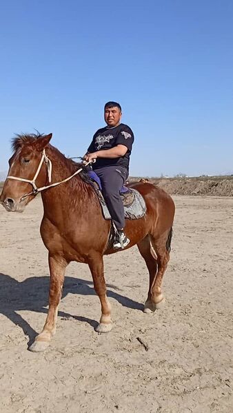  ,   Sarvar, 31 ,   ,   