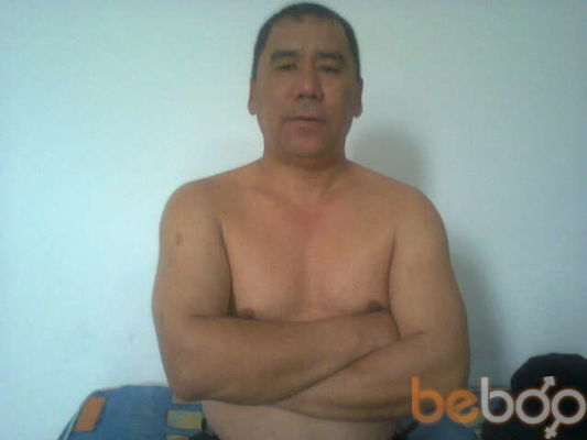  ,   Taigat, 43 ,     , c 