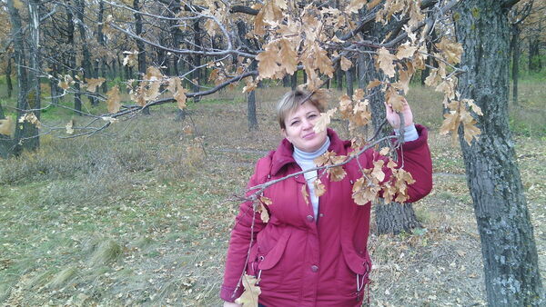  -,   , 58 ,   ,   , c 