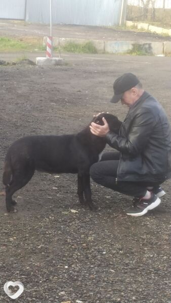  ,   Boris, 62 ,   ,   