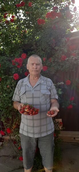  ,   , 67 ,   
