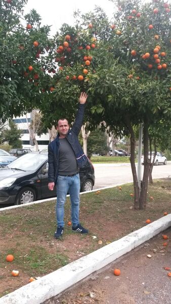  ,   , 38 ,   ,   , c 