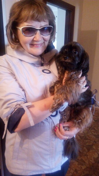  ,   , 62 ,   ,   , c 