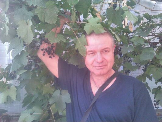  ,   Art, 55 ,   ,   , c 