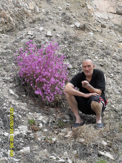   ,   , 65 ,   
