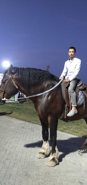  ,   Ogabek, 27 ,   ,   