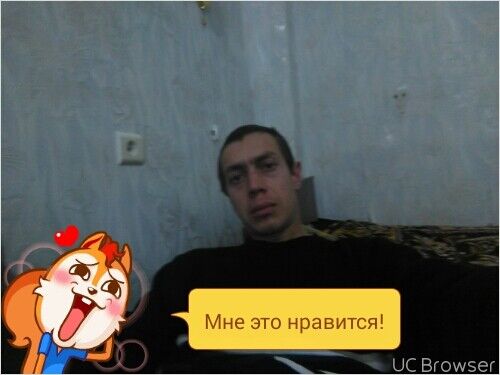  6916334  , 36 ,    