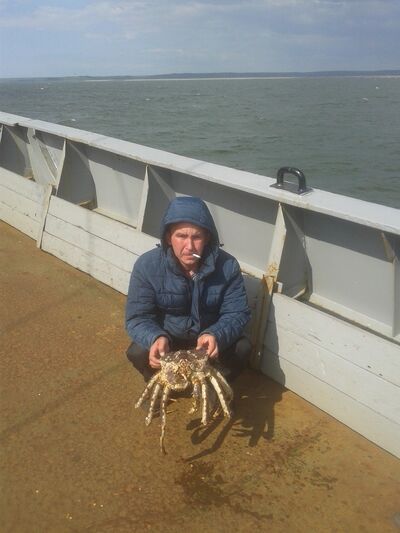  -,   , 38 ,   ,   , c 